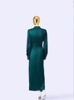 Greenworld-Maxi-Long-Sleeve-Dress_back-full